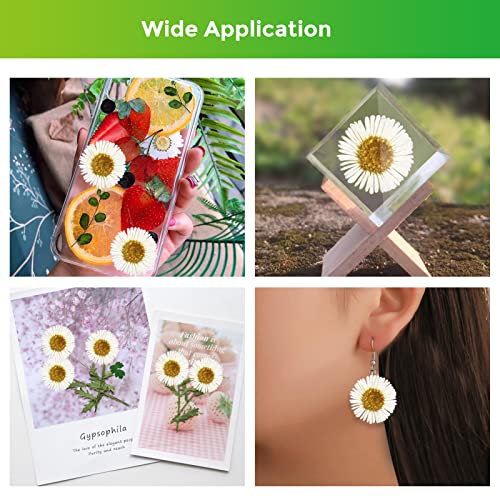 60 flores secas de crisantemo para manualidades miniatura 4