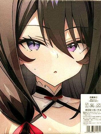 Amazon.co.jp: 切姫夜架 最弱無敗の神装機竜 美少女 タペストリー バス