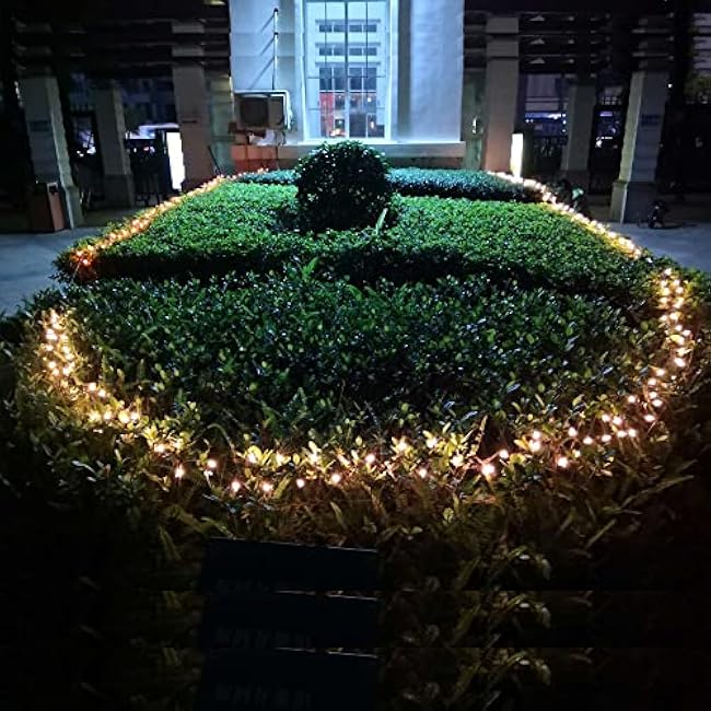 100 Clear Mini Brown Wire Christmas Lights 23ft Incandescent Waterproof UL Certified Fairy String Lights for Outdoor Indoor Home Party Holiday Xmas Tree Decoration