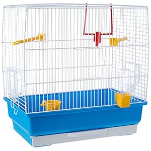 Ferplast Jaula rectangular para pequeños pájaros exóticos y canarios REKORD 2 Con accesorios y comederos giratorios, alambre pintado Blanco y cubeta de plástico Azul celeste, 39 x 25 x h 41 cm