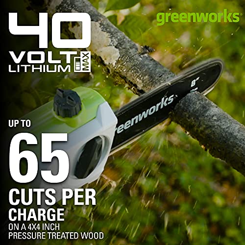 Greenworks PSPH40B210 40V 8 Inch Pole Saw + Pole Hedge, 2.0Ah Battery thumb #2