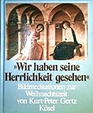 Wir haben seine Herrlichkeit gesehen. Bildmeditationen zur Weihnachtszeit - Kurt-Peter Gertz 