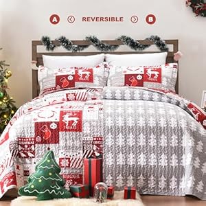 Newspin Christmas Quilt Set Queen Size, Soft Reversible Quilted Christmas Bedspread Coverlet Lightweight Full/Queen Quilt Bedding Sets with Xmas Santa Tree Snowman Red Plaid Patchwork Pattern Newspin Christmas Quilt Set Queen Size Soft Reversible Quilted Christmas Bedspread Coverlet Lightweight FullQueen Quilt Bedding Sets with Xmas Santa Tree Snowman Red Plaid Patchwork Pattern