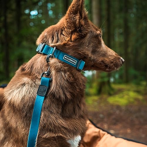 Image of Wilderdog Waterproof Dog Collar - Repels Water & Dirt - Small 11 inch-15 inch - Pacific Blue