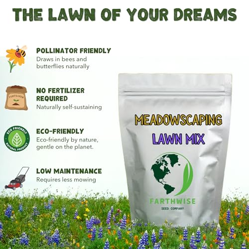 Grass Seed Blends For Low Maintenance And Minimal Mowing