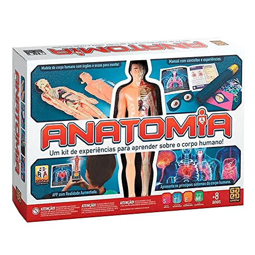 Anatomia