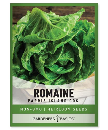 Gardeners Basics Romaine Lettuce Seeds for Planting - Parris Island Cos Heirloom Non-GMO Vegetable Variety- 2 Grams Seeds Great for Spring Summer Fall Winter Garden and Hydroponics