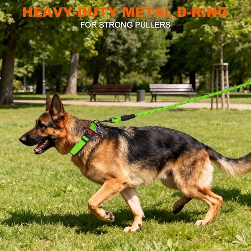 Image of Taglory Reflective Dog Collar with Safety Locking Buckle, Adjustable Nylon Pet Collars for Extra Large Dogs Female Male, Green, XL