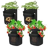 🍍 【Uso amplio】 Estas bolsas de cultivo de jardín son ideales para patios, jardines pequeños, balcones, soláriums y otras plantas de interior y exterior. Con el diseño de estructura único, las bolsas de cultivo se pueden utilizar para cultivar todo tipo de plantas, como fresas, cebollas, taro, rábanos, zanahorias y otras verduras y frutas. ¡Simplemente disfruta plantar en casa y haz tú mismo el jardín de tus sueños que te guste!
