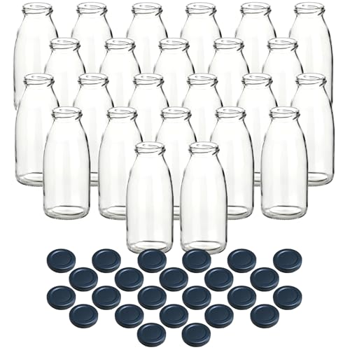 gouveo Lot de 24 bouteilles de jus 250 ml avec