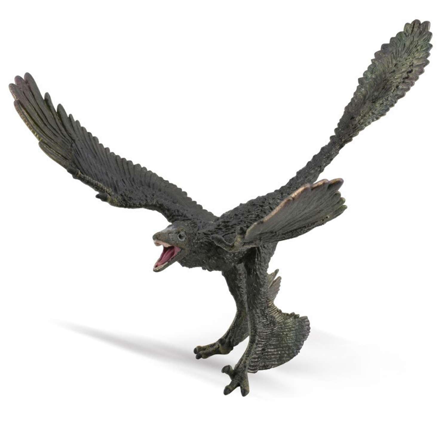 Amazon.co.jp: COLLECTA 恐竜フィギュア ミクロラプトル 88875 : おもちゃ