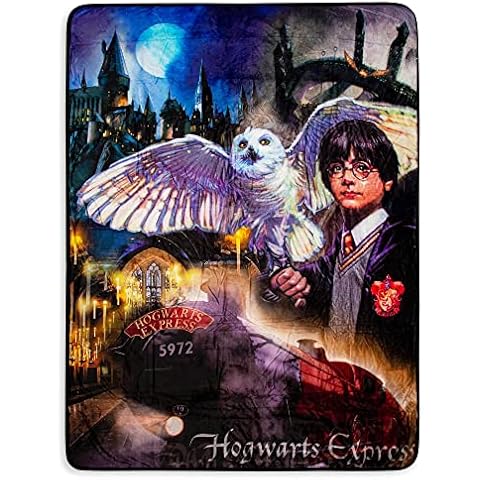 Northwest Harry Potter Silk Touch Sherpa Throw Blanket, 60" x 80", Potter Magic Montage Cover