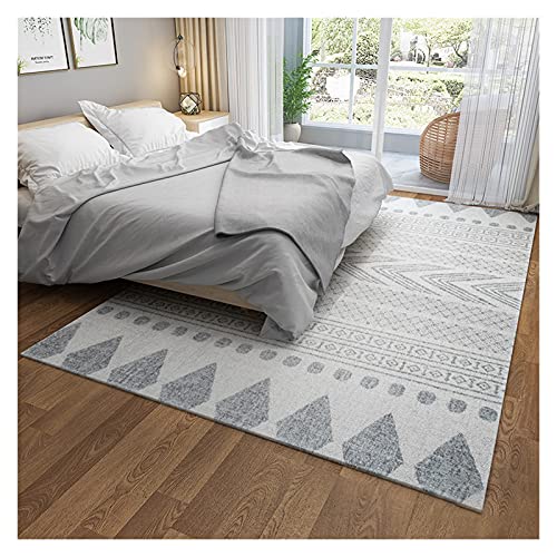 Alfombra de área moderna para dormitorio minimalista y zona de sofá cama 2