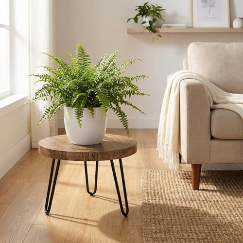 Tabouret pour plantes de 10 pouces en bois rustique