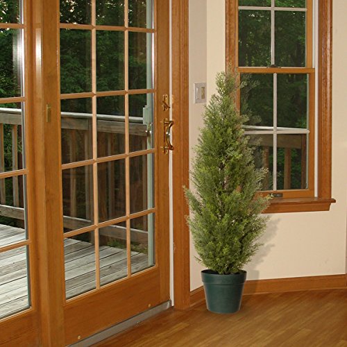 Artificial Arborvitae Shrub - 36 Inch - Image 3