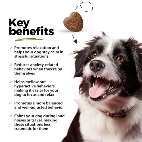 Image of ANP Premium Organic Hemp Oil Calming Chews for Dogs - No Animal Proteins Separation Anxiety & Stress Relief - Clinically Studied KSM-66 Ashwagandha - Promotes Relaxation, Improves Sleep - Made in USA