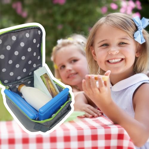 Image of WORLD-BIO Reusable Ice Packs for Lunch Boxes & Coolers, Leakproof Quick Freeze Cold Packs for Picnics, Beach, Camping, Work - Long Lasting to Keep Drinks Cold (Thin Ice Packs 6 Pcs)