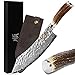 Sunlong Coltello da Macellaio Professionale da Taglio Coltello 25,40 cm (10 Pollici) in Acciaio Damasco VG10 martellato Giapponese - Manico ergonomico in Corno con Pelle