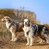 rabbitgoo Dog Harness Large Dog No Pull, Tactical Adjustable Pet Harness with Molle Panel, Breathable Military Vest, Reflective Walking Vest with Easy Control Handle for Training Walking, Black, L - Image 2