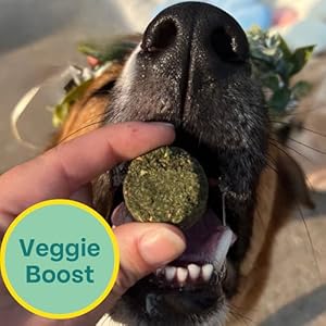 Plant-Based-Spirulina-Healthy-Supplement-Dog-Treat-5oz-1-Pack-Stop-Grass-Eating-Hypoallergenic-Chicken-Free-Vegan-Protein-100-Made-in-USA - Cucciolini Doodles   Plant-Based-Spirulina-Healthy-Supplement-Dog-Treat-5oz-1-Pack-Stop-Grass-Eating-Hypoallergenic-Chicken-Free-Vegan-Protein-100-Made-in-USA