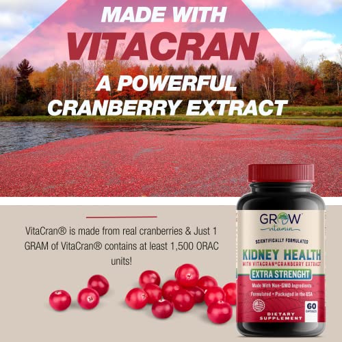 Grow Vitamin Premium Kidney Cleanse Supplement – Powerful Kidney Support Formula With Cranberry Extract Helps Support Healthy Kidneys & Urinary Tract Support– 60 Vegetarian Capsules #TOP4