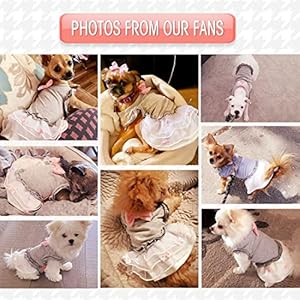 Kyeese dogs dress grey with pink bowtie pet puppy clothes for small dogs skirt dog clothes  urban country home decor