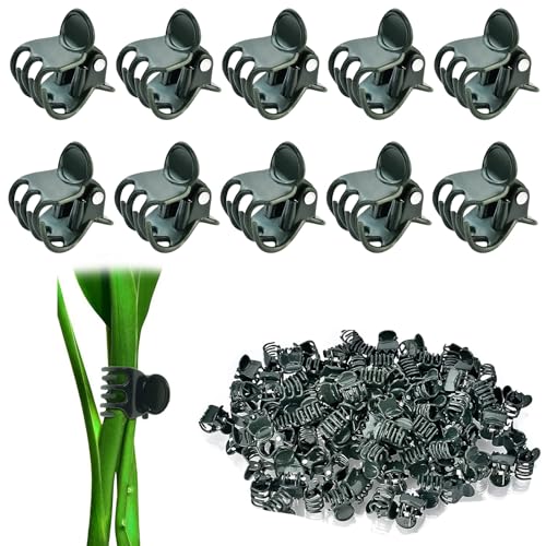 100 Stück Pflanzenclips Orchideen Klammern, Garten Pflanzen Clips, Blumenklammern, Pflanzenclips Klein, Pflanzenklammern Kunststoff, für Unterstützen und Halten Pflanze (Dunkelgrün)