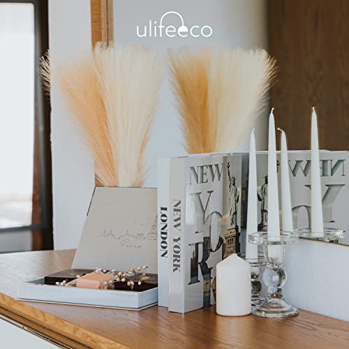 Ulifeeco DECOR BOOK_01 Faux Books For Decoration thumb #8