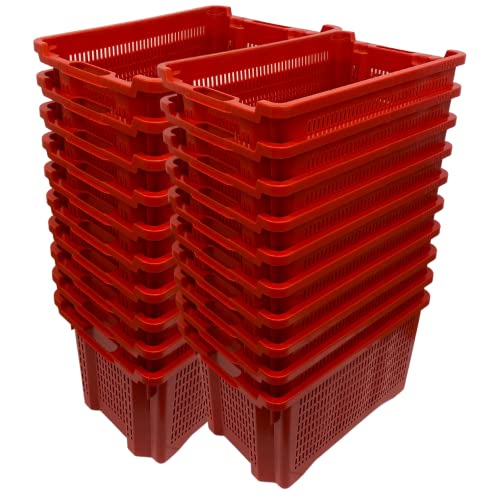 cassetta agricola con fondo traforato in plastica, cesta per raccolta olive, impilabili e sovrapponibili, con manici, 40 litri, cm. 56x35x31 (20)