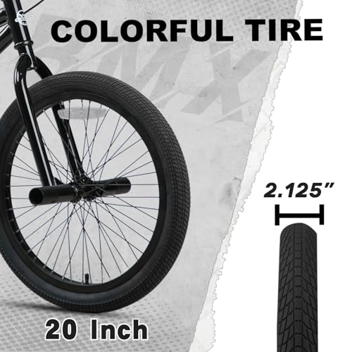 cubsala Echo 20 Inch BMX