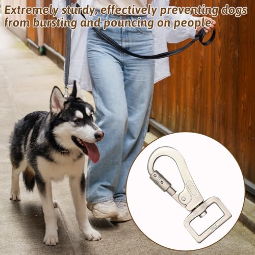 2 Stück Karabinerhaken für Hunde unter 30KG, Robuster Stahlkarabiner für Halsbänder und Gurtbänder, Maximale Belastbarkeit bis 134KG