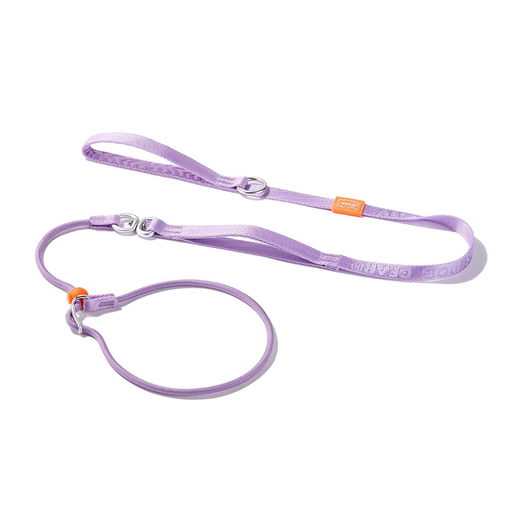 HowGo Slip Lead Dog Leash with Double Handles | Reflective Dog Training Leash with 360° Swivel Anti-Tangle | Heavy-Duty Lead and Collar for Large Medium and Small, No-Pull Walking (Lavender, 5.5FT)