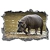 3D-look muur sticker nijlpaard muur doorbraak muurschildering sticker sticker muur sticker 65x98cm