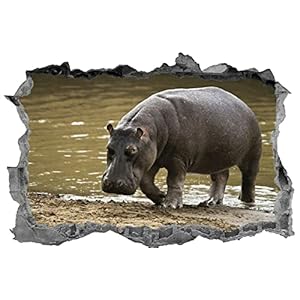 3D-look muur sticker nijlpaard muur doorbraak muurschildering sticker sticker muur sticker 65x98cm