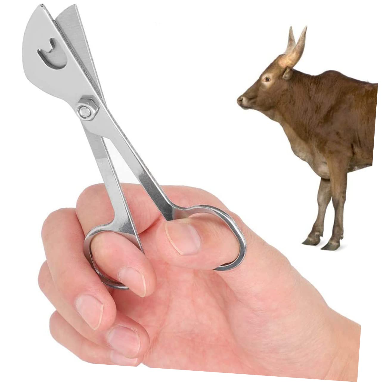 Gadpiparty 4 Stück Trimmer für Samen Rinderzuchtwerkzeug Rinderzucht-Werkzeug Rinderzucht-Handwerkzeug Zuverlässige Feinrohrschere für Rinder Vieh liefert Kuh Werkzeug Rostfreier Stahl Silver