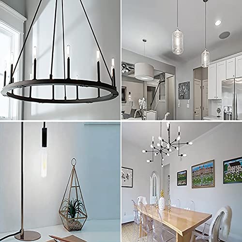 T10 Led Bulb,Dimmable 6W Led Tubular Bulbs, 60 Watt Incandescent Bulb Equivalent, Cool White 5000K, Clear Glass, E26 Base Lamp Bulb, For Cabinet Display Cabinet Etc,4 Pack #TOP1