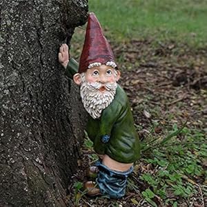 Garden Gnomes Ornaments, Waterproof Resin Rude Garden Gnome Statue Ornaments Outdoor Statues, Garden Gnome Decoration…