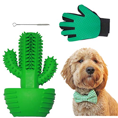 Dog Chew Toothbrush Toy By 2BC (Combo Package) Toy + Clean Brush + Hair Brush Teeth Cleaning Dog Dental Chew Toy Dog Too