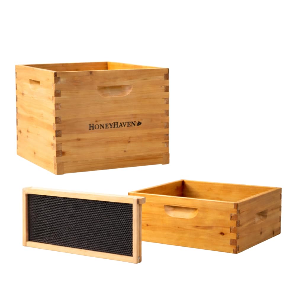 HoneyHaven Kit d'extension avec 8 cadres de ruche Langstroth avec cadres, fondations, 1 couvée
