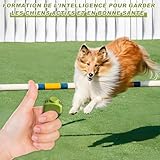 huoanpo 2X Klicker Hund (19mm/21mm) in Grasgrün und Grau – Praktisches Hundetraining-Zubehör als Fingerring-Clicker Hund für Hunde-, Katzen- und Pferdetraining.