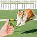 huoanpo 2X Klicker Hund (19mm/21mm) in Grasgrün und Grau – Praktisches Hundetraining-Zubehör als Fingerring-Clicker Hund für Hunde-, Katzen- und Pferdetraining.