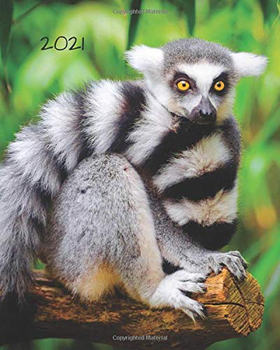 2021: Daily Weekly Monthly Calendar Planner Agenda Appointment Book: January 1, 2021 - December 31, 2021: 8