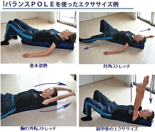 製造直売 国産バランスポールで 寝転がりダイエット通気性の優等生メッシュ素材 色 ネイビー バランスポール ダイエットサプリメント Amazon