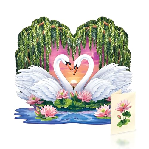 Freshcut Paper Sweetheart Swans Pop Up Cards, 12 Inch Life