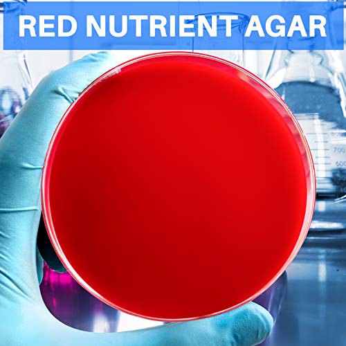Evviva Sciences Colorful Nutrient Agar Kit - 15 Prepoured Nutrient Agar Petri Dishes - Red, Green, & Blue Agar Plates - Science Laboratory Project - Experiment Ebook - Learn Microbiology Now