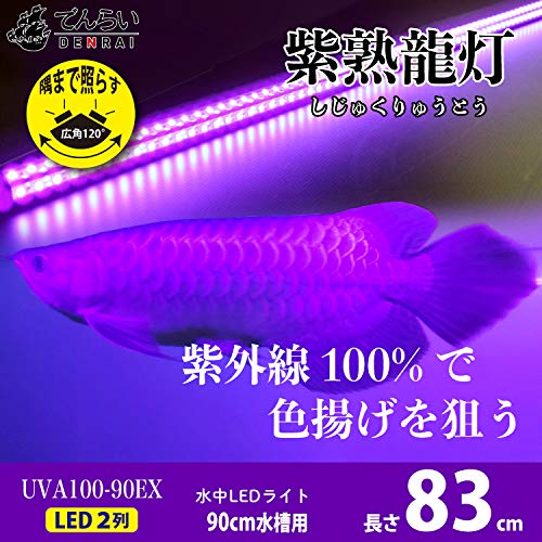 葵山田【点灯時間30分】アロワナライトマルチカラー！ 葵山田様専用【点灯時間30分】アロワナライトマルチカラー