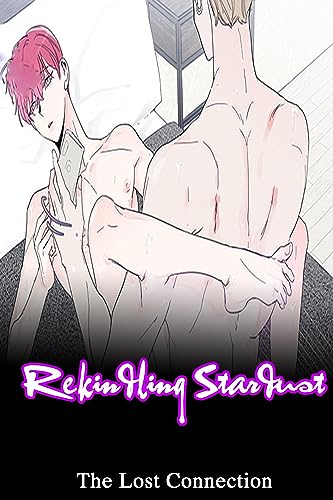 Rekindling Stardust: The Lost Connection (English Edition)