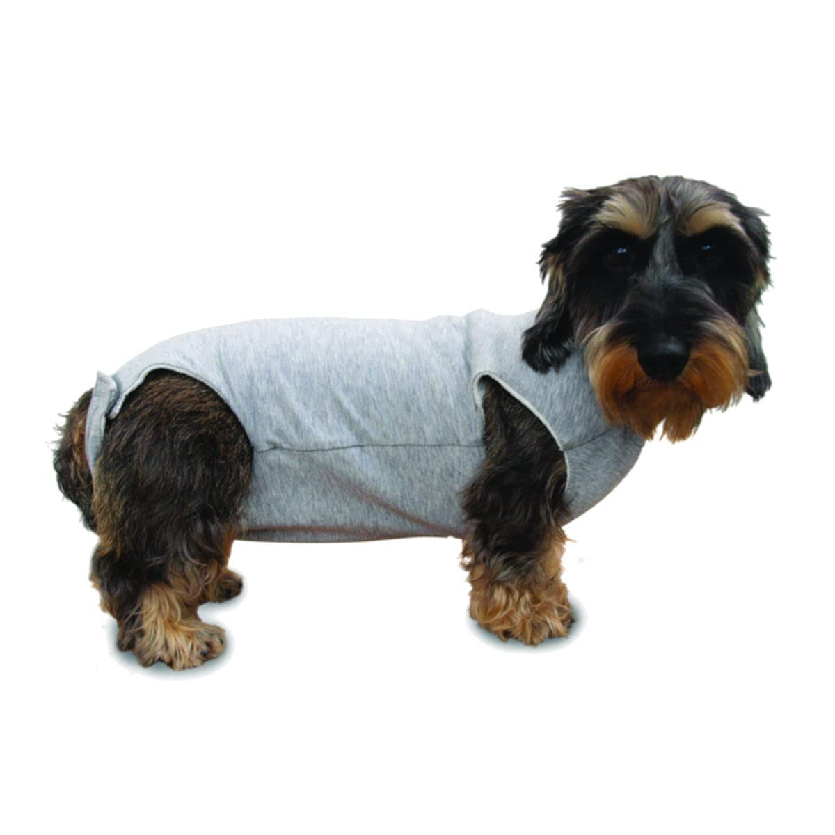 Fashion Dog Cura Pets - Body quirúrgico y de salud para perros y gatos, 60 cm