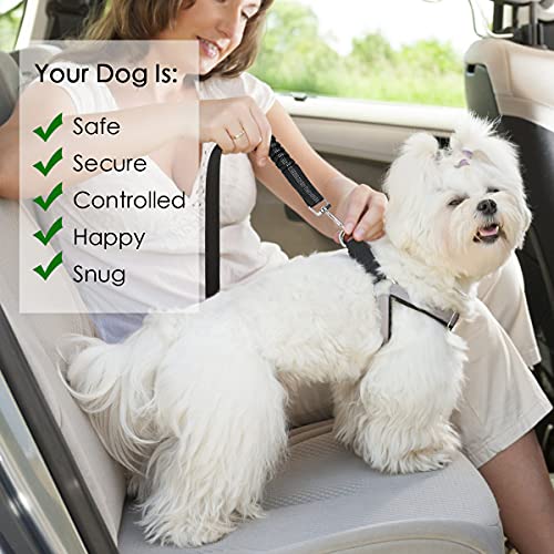 URAQT Hunde Sicherheitsgurt,2 Stück Anschnallgurt Auto mit Universalstecker Hundesicherheitsgurt mit Elastischer Ruckdämpfung und Starke Karabiner 2 in 1 Verstellbares 64-79cm Hundegurt fürs Auto