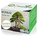 Easy Bonsai Starter Kit - Bonsai Set mit 4 versch. Bonsai Samen - Züchte deinen wunderschönen Bonsai Baum - Nachhaltiges Geschenkset / Pflanzset inkl. Anleitung (Booklet) & Zubehör - SeedPal